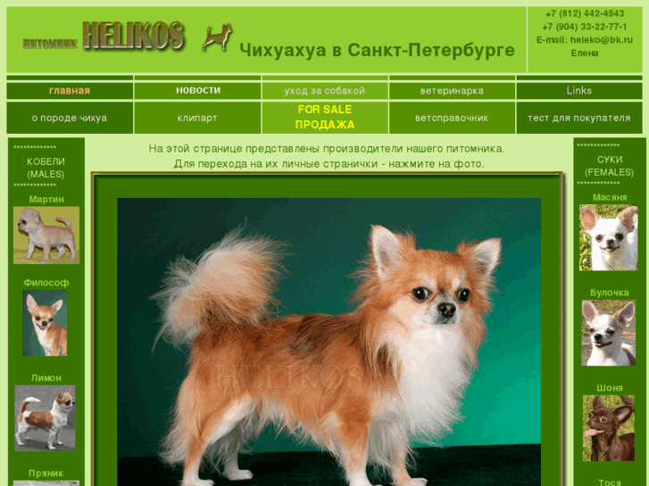 www.dogsheleko.ru