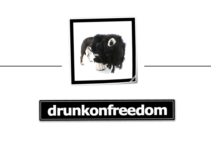 www.drunkonfreedom.com