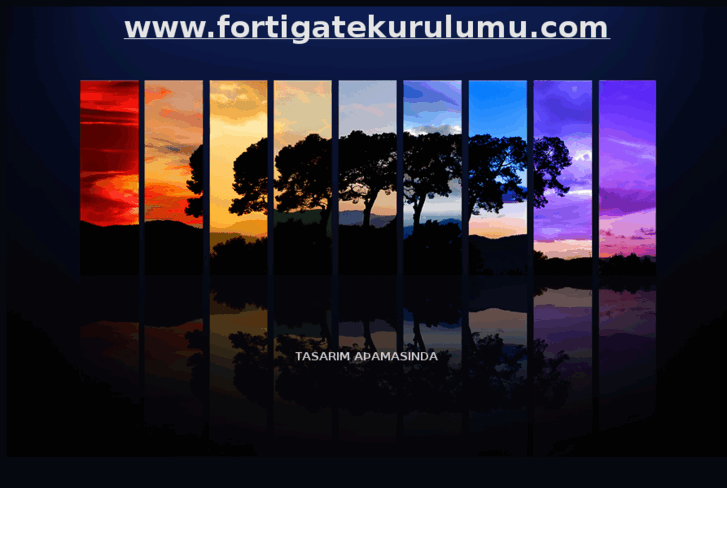 www.fortigatekurulumu.com