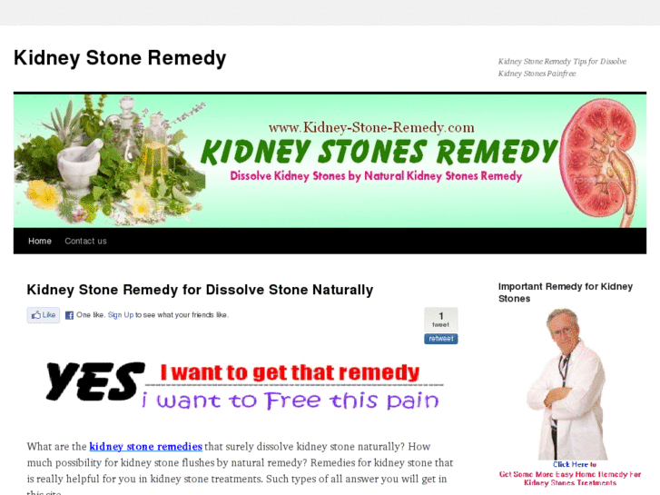 www.kidney-stone-remedy.com