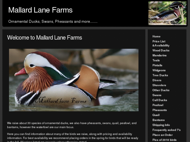 www.mallardlanefarms.com