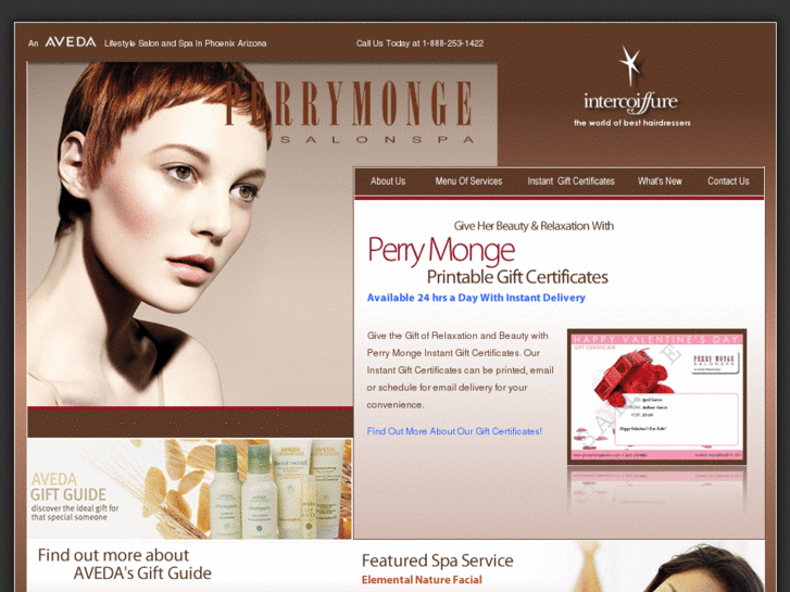 www.perrymongesalon.com