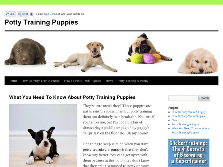 www.pottytrainingpuppies.net