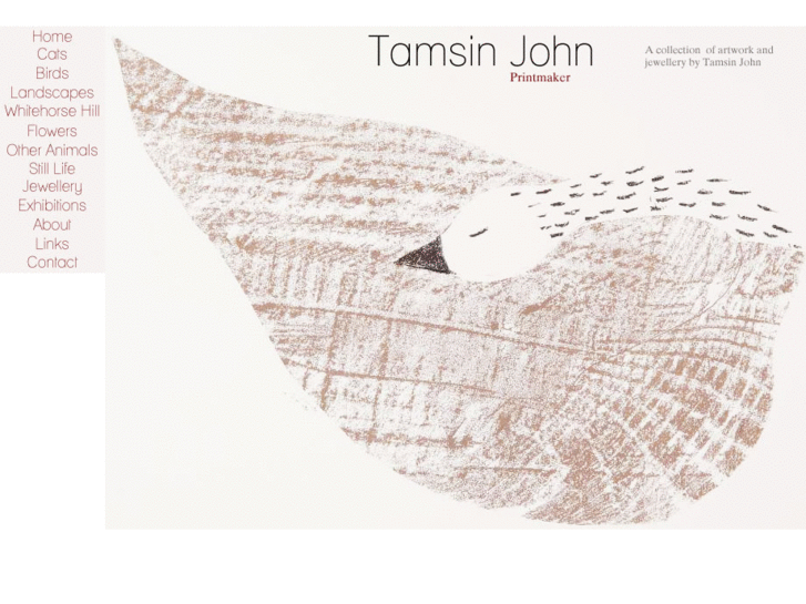 www.tamsinjohn.com