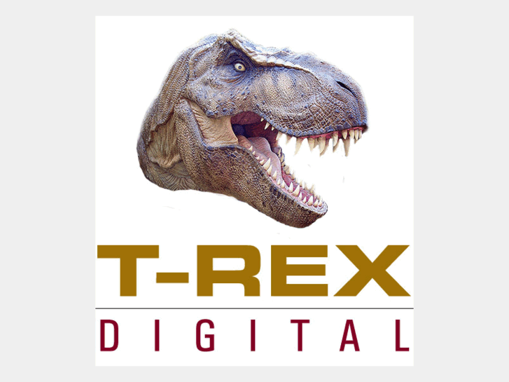 www.trexhosting.net
