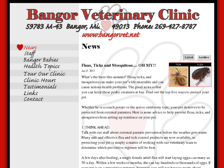 www.bangorvet.net