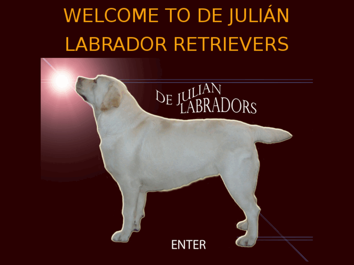 www.dejulianlabradors.com