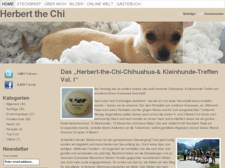 www.herbert-the-chi.com