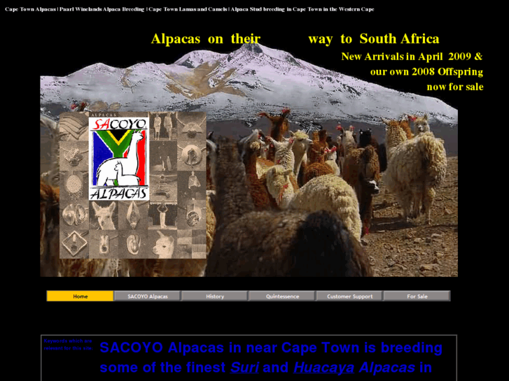 www.sacoyo.com