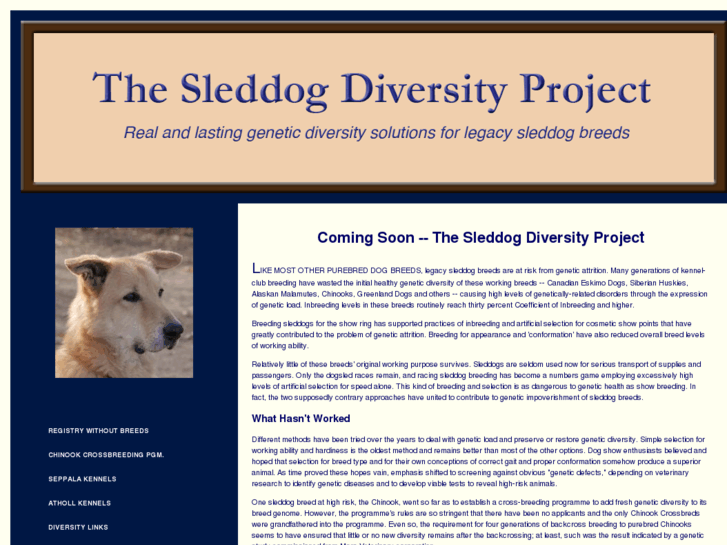 www.sleddog-diversity-project.com