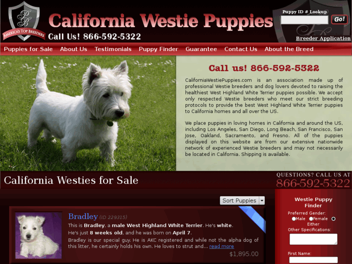 www.californiawestiepuppies.com