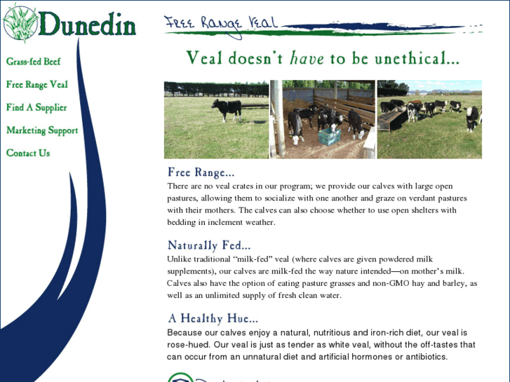 www.dunedinbeef.com