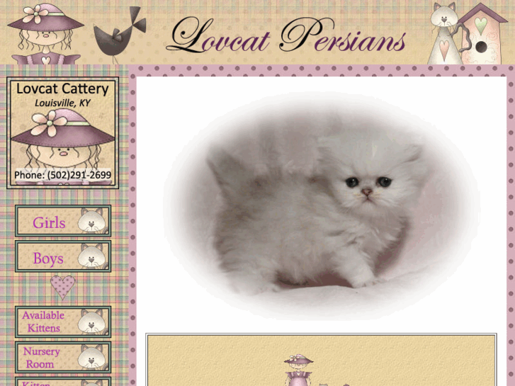 www.lovcatpersians.com