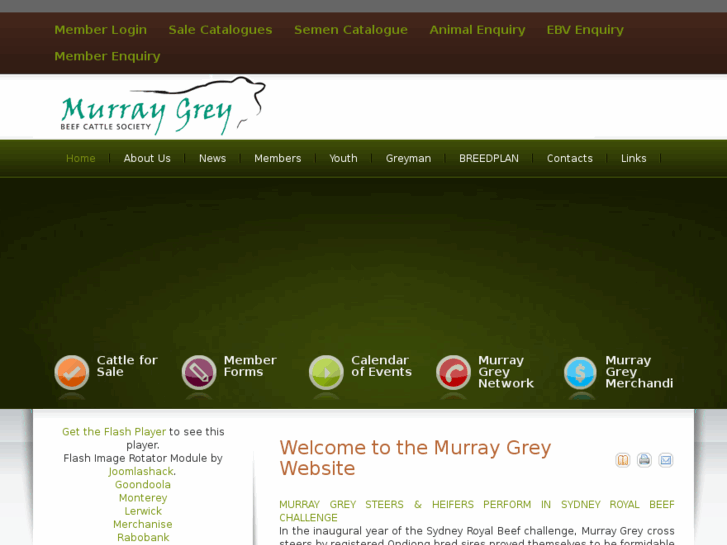 www.murraygrey.com.au