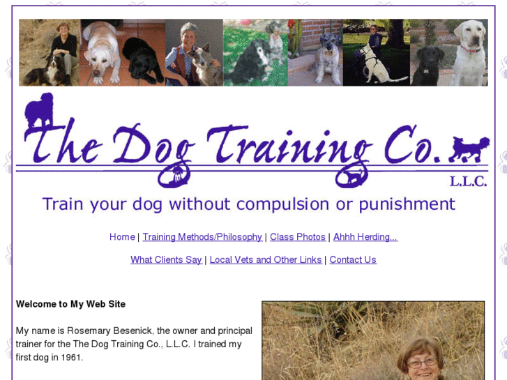 www.thedogtrainingco.com