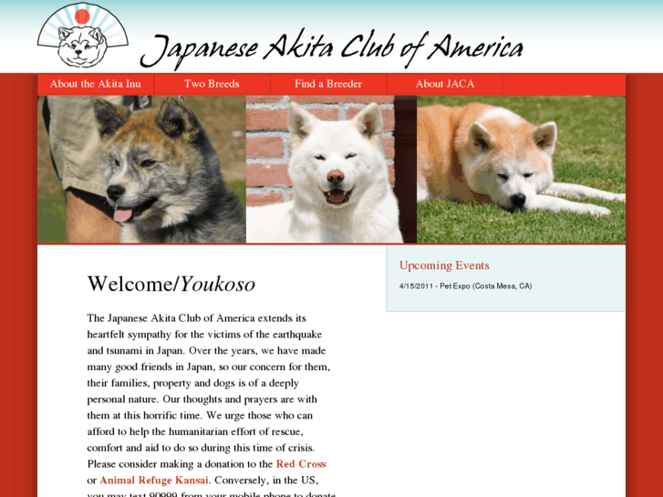 www.akita-inu.com