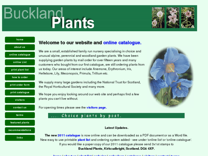 www.bucklandplants.co.uk