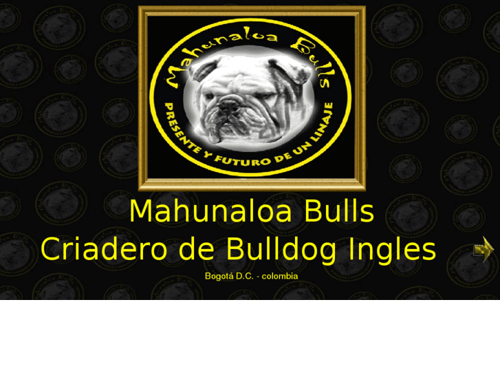 www.mahunaloabulls.com