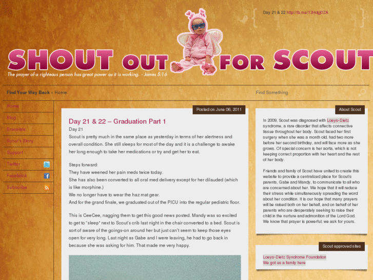 www.shoutoutforscout.com