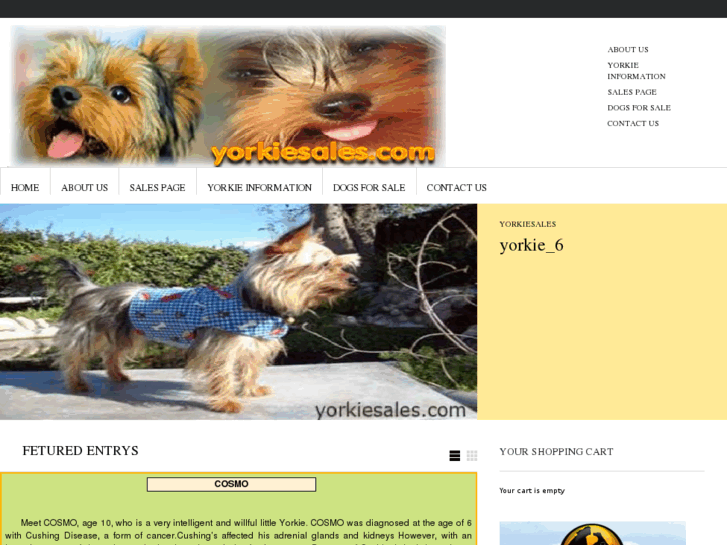 www.yorkiesales.com