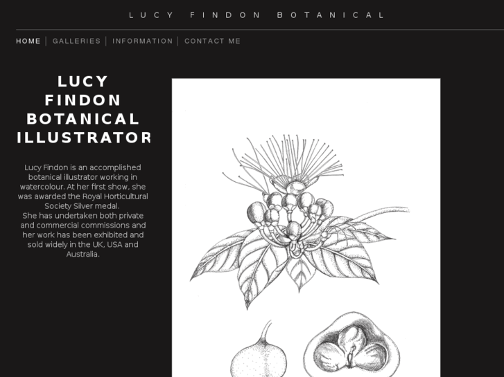 www.lucyfindon.com