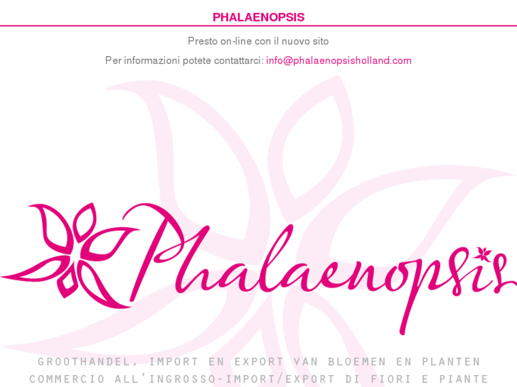 www.phalaenopsisholland.com