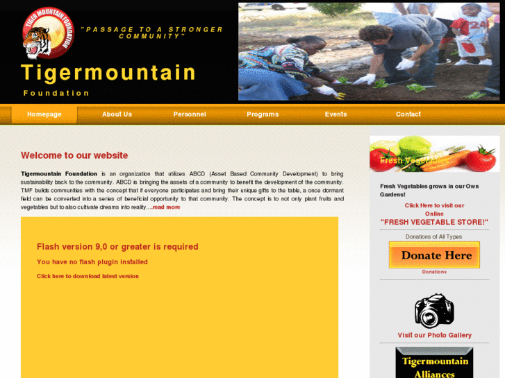 www.practicaldesignsolutions.com