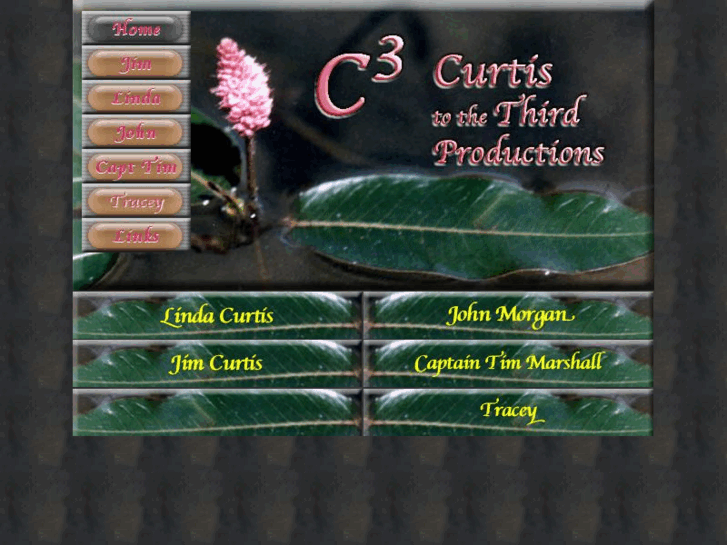 www.curtistothethird.com