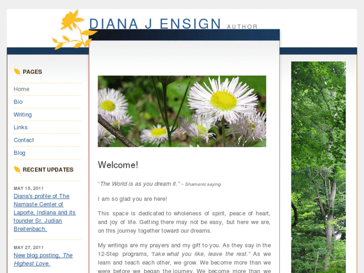 www.dianaensign.com