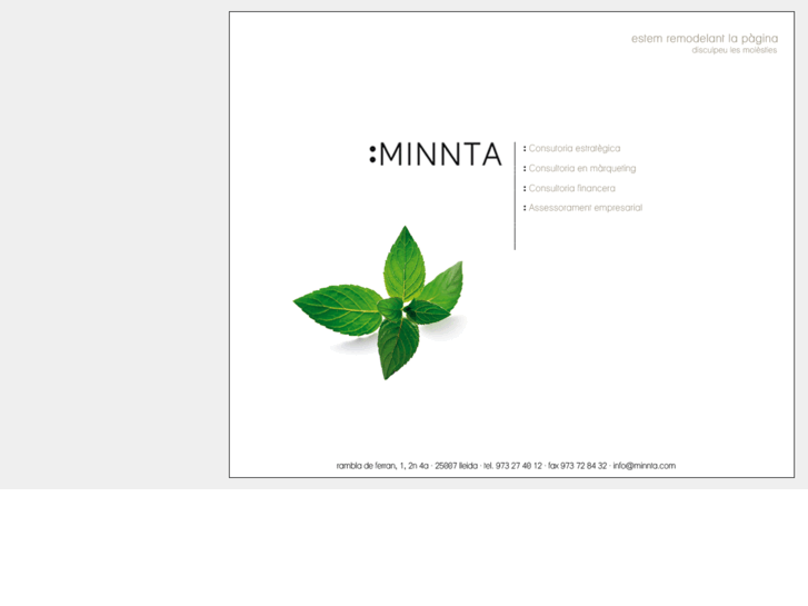 www.minnta.com