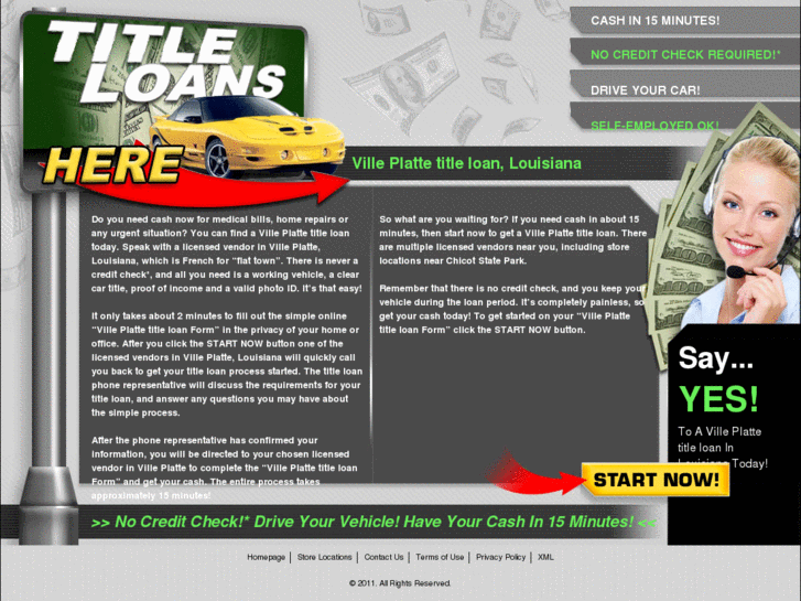 www.villeplatteonlinetitleloans.com