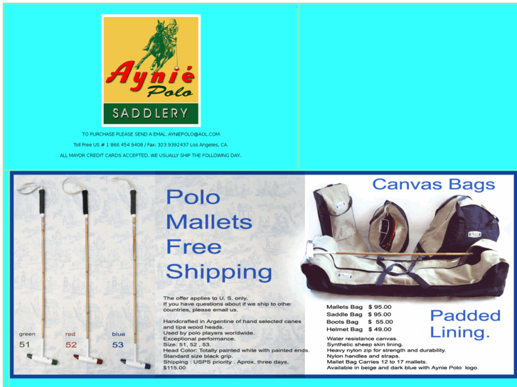 www.ayniepolo.com