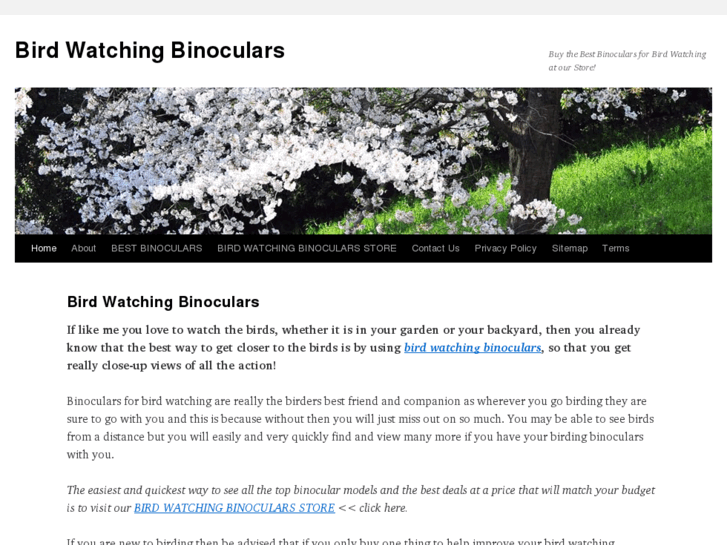 www.birdwatchingbinocularsstore.com