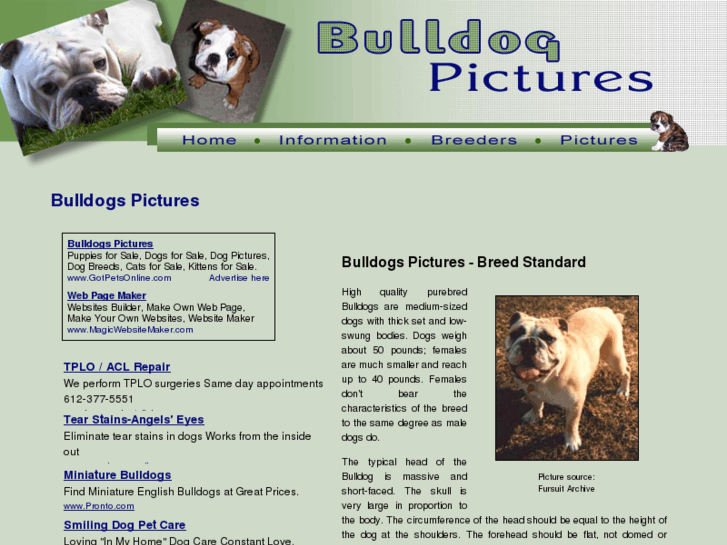 www.bulldog-pictures.org