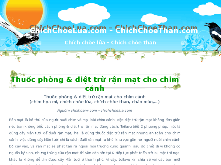 www.choethan.com