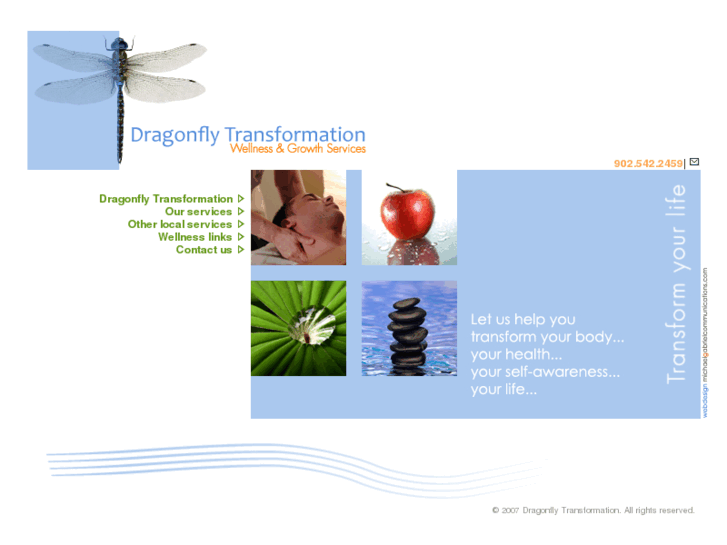 www.dragonflytransformation.com