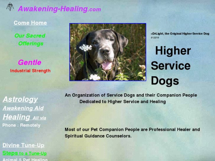 www.higherservicedogs.com