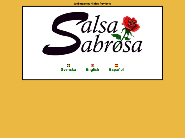 www.salsa-sabrosa.com