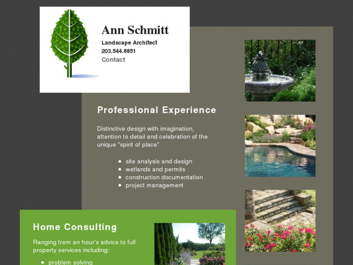 www.annschmitt.com