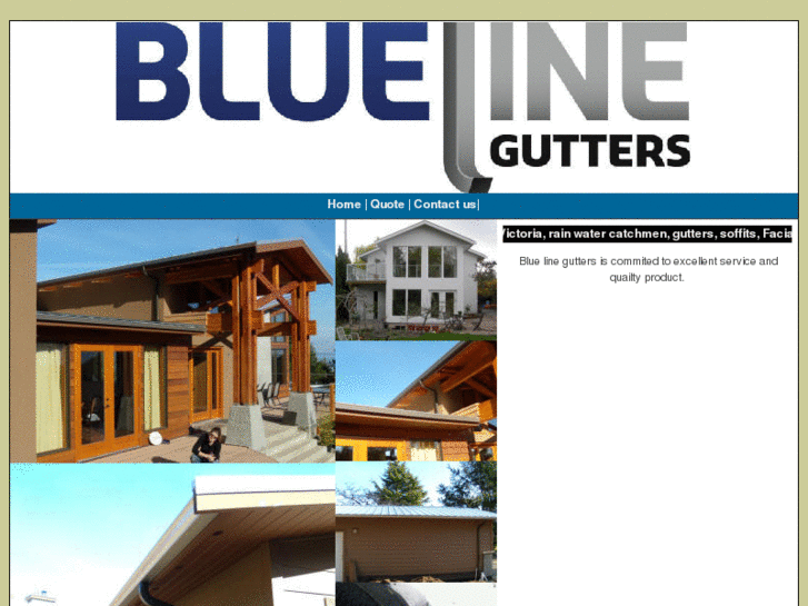 www.bluelinegutters.com