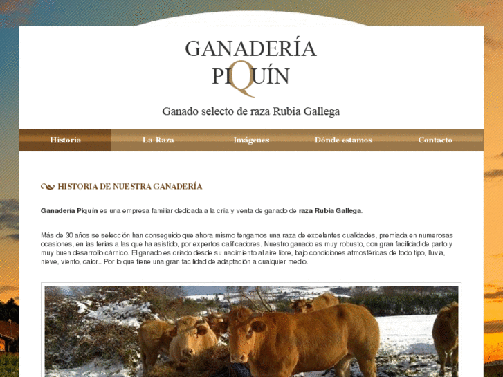 www.ganaderiapiquin.es