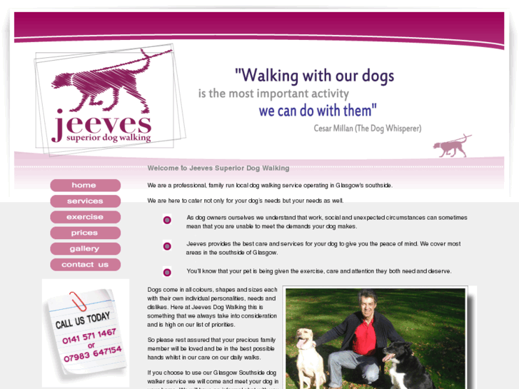 www.jeevesdogwalker.com