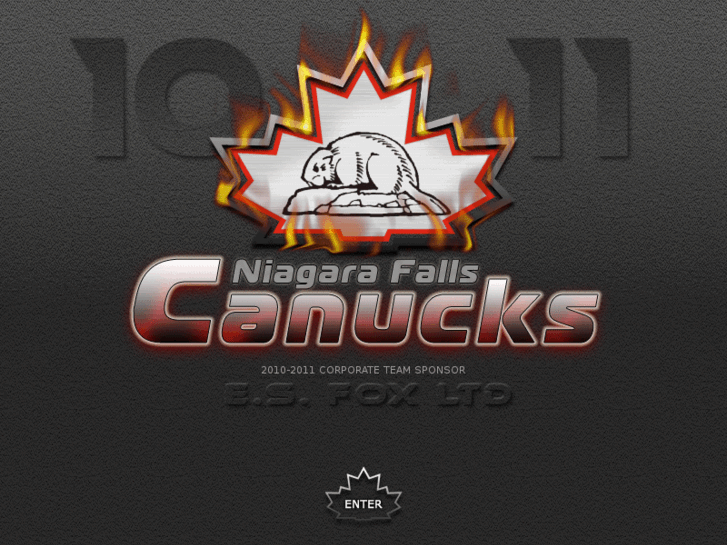 www.niagarafallscanucks.net