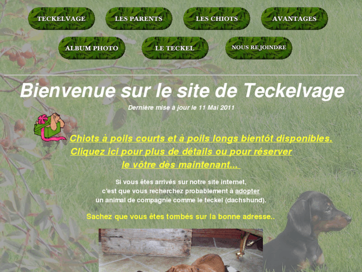 www.teckelvage.com