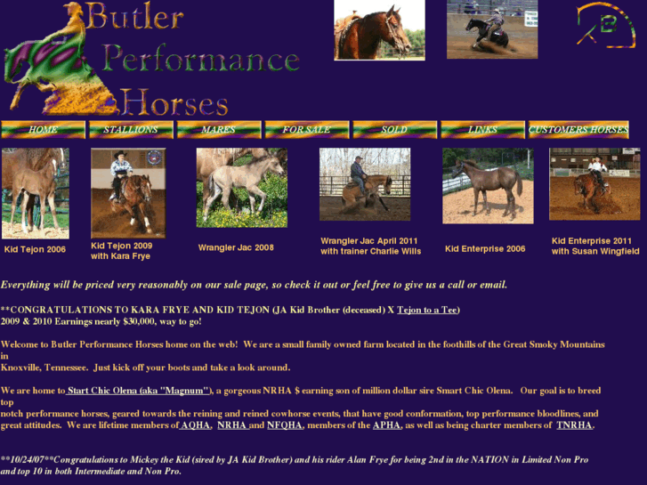 www.butlerperformancehorses.com