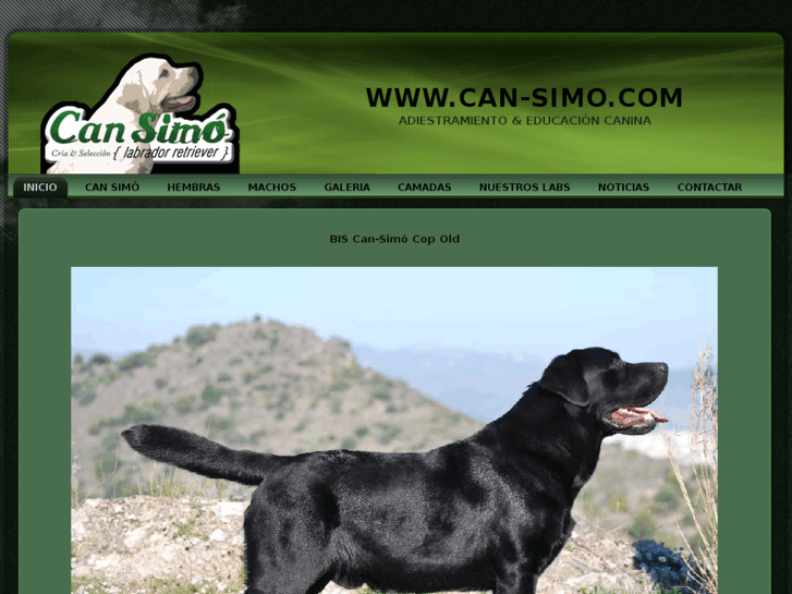 www.can-simo.com