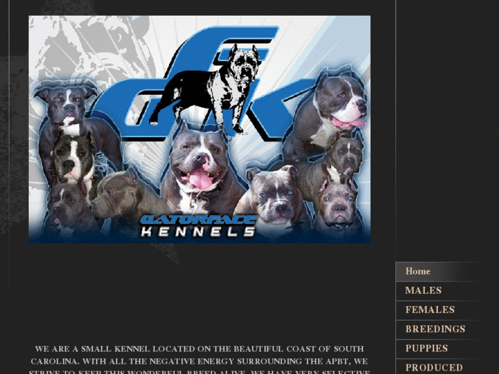 www.gatorfacekennels.com