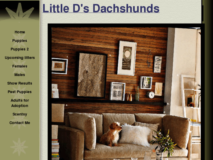 www.littledsdachshunds.com