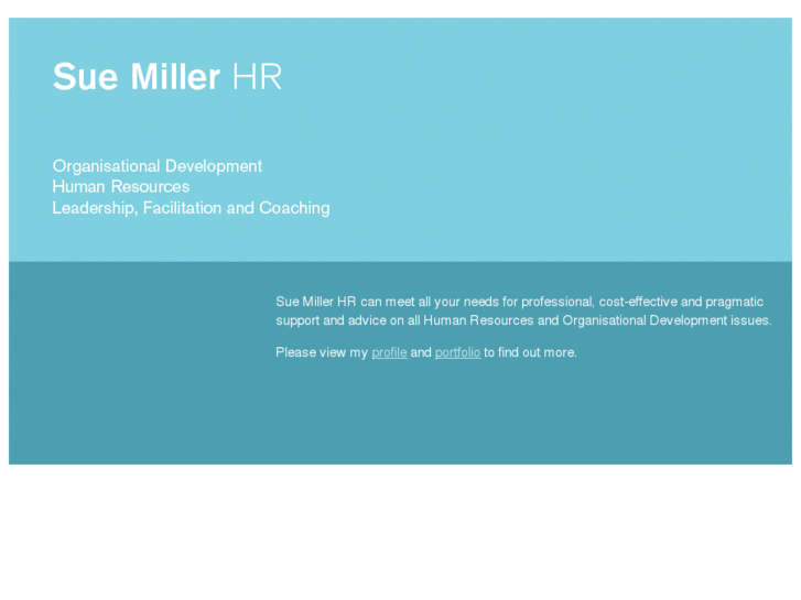 www.suemillerhr.com