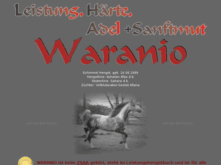 www.waranio.com